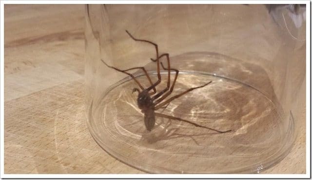 20130918_232033 (Medium)