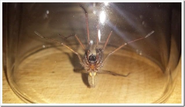 20130918_232108 (Medium)