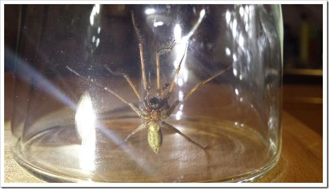 20130918_232230 (Medium)