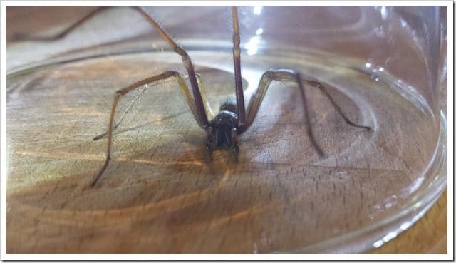 20130918_232243 (Medium)