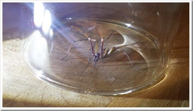 20130918_232309 (Medium)