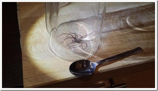 20130918_232455 (Medium)