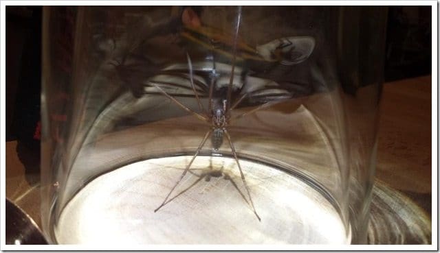 20130918_232507 (Medium)