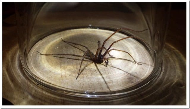 20130918_232637 (Medium)