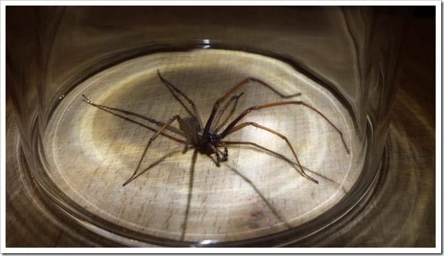 20130918_232644 (Medium)