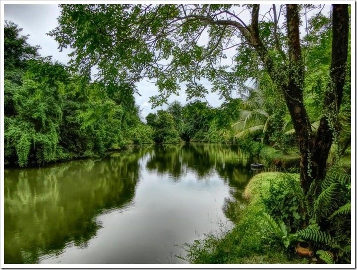 CIMG3682 (Mittel)_thumb