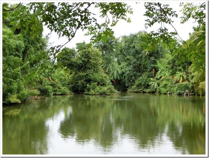 CIMG3685 (Mittel)_thumb