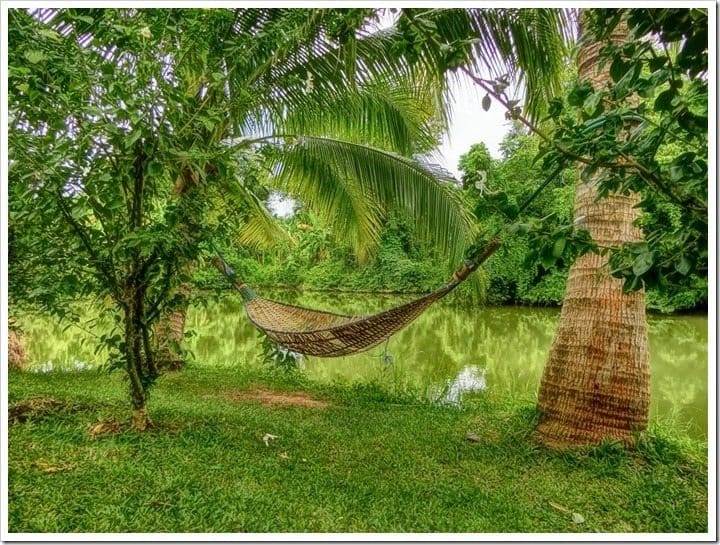 CIMG3707 (Mittel)_thumb