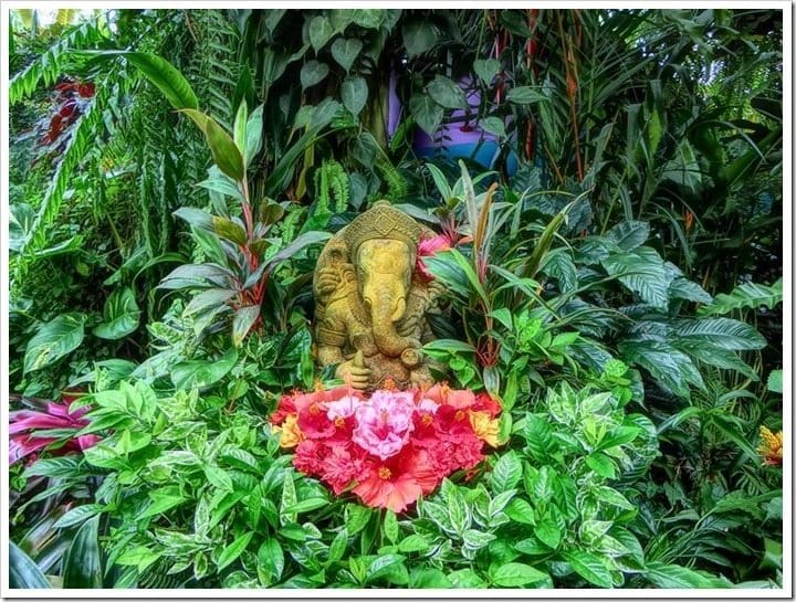 CIMG3727 (Mittel)_thumb