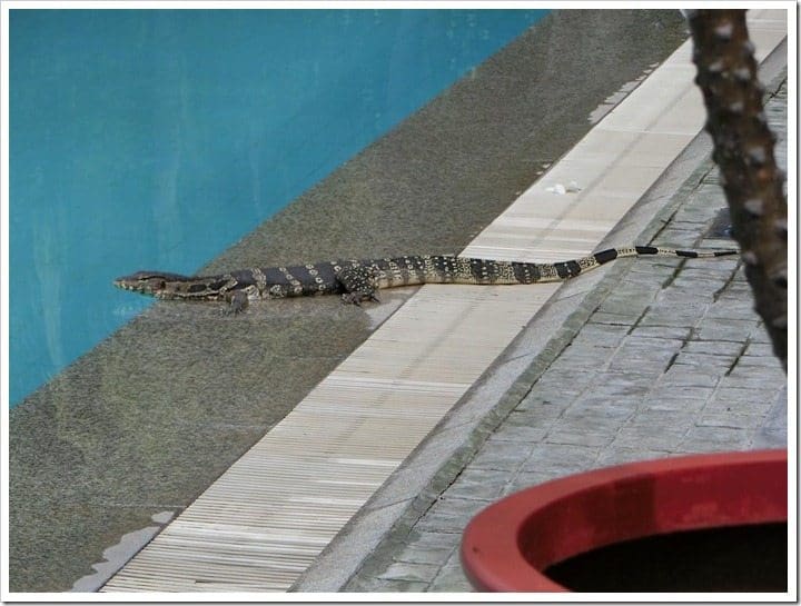 CIMG3832 (Gro&szlig;)