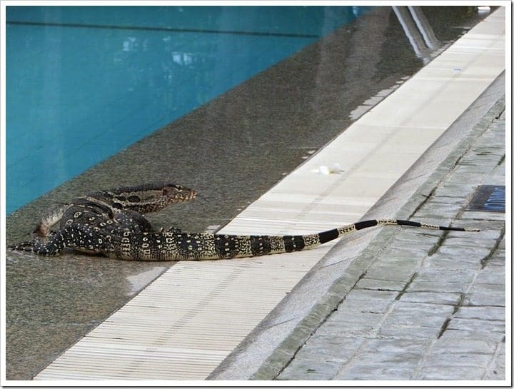 CIMG3833 (Gro&szlig;)