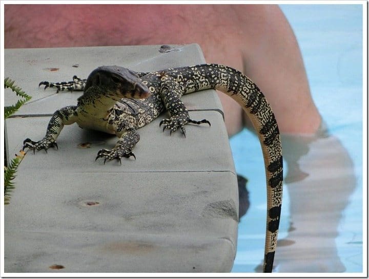 CIMG3848 (Gro&szlig;)