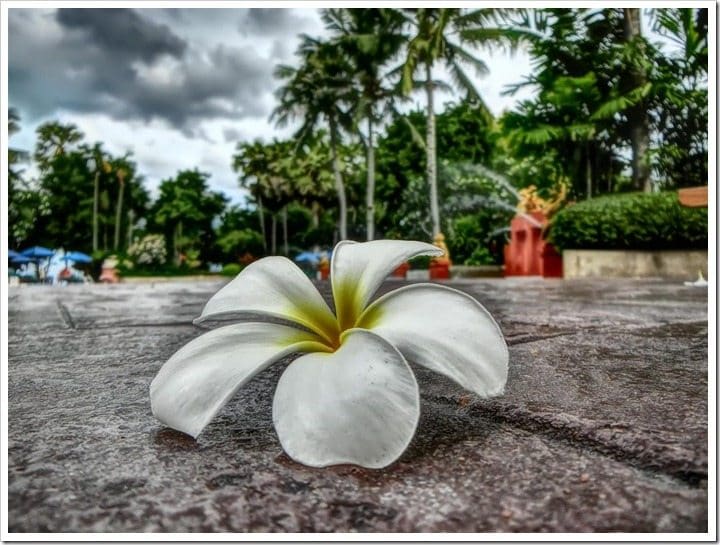 CIMG3873 (Gro&szlig;)