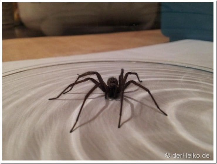 CameraZOOM-20121121183006627-Gro