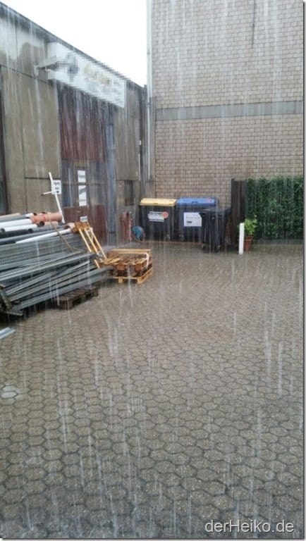 20140721_090319 (Medium)