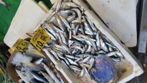 20150724_180328 (Andere)