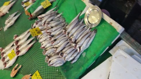 20150724_180330 (Andere)