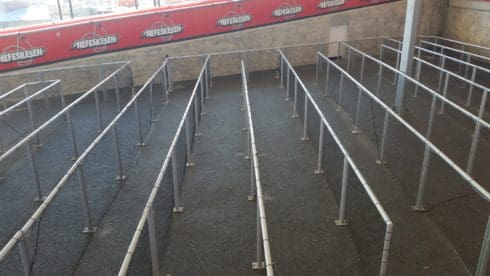 20150728_151907 (Andere)