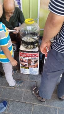 20150729_160130 (Andere)