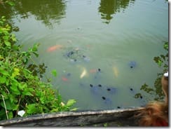 IMG_20190710_114334 (Groß)