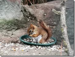 IMG_20190710_115436 (Groß)