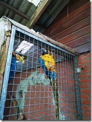 IMG_20190710_120417 (Groß)