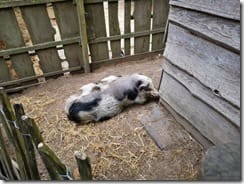 IMG_20190710_122631 (Groß)