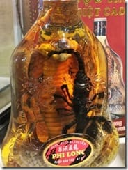 IMG_20190710_125541 (Groß)