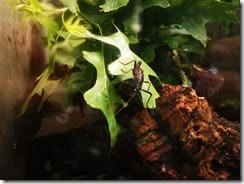 IMG_20190710_133255 (Groß)