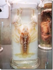 IMG_20190710_133419 (Groß)