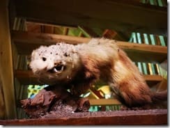 IMG_20190710_134836 (Groß)