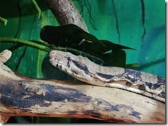 IMG_20190710_135800 (Groß)