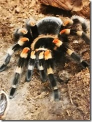 IMG_20190710_140443 (Groß)