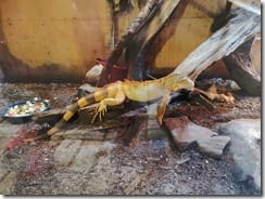 IMG_20190710_140557 (Groß)