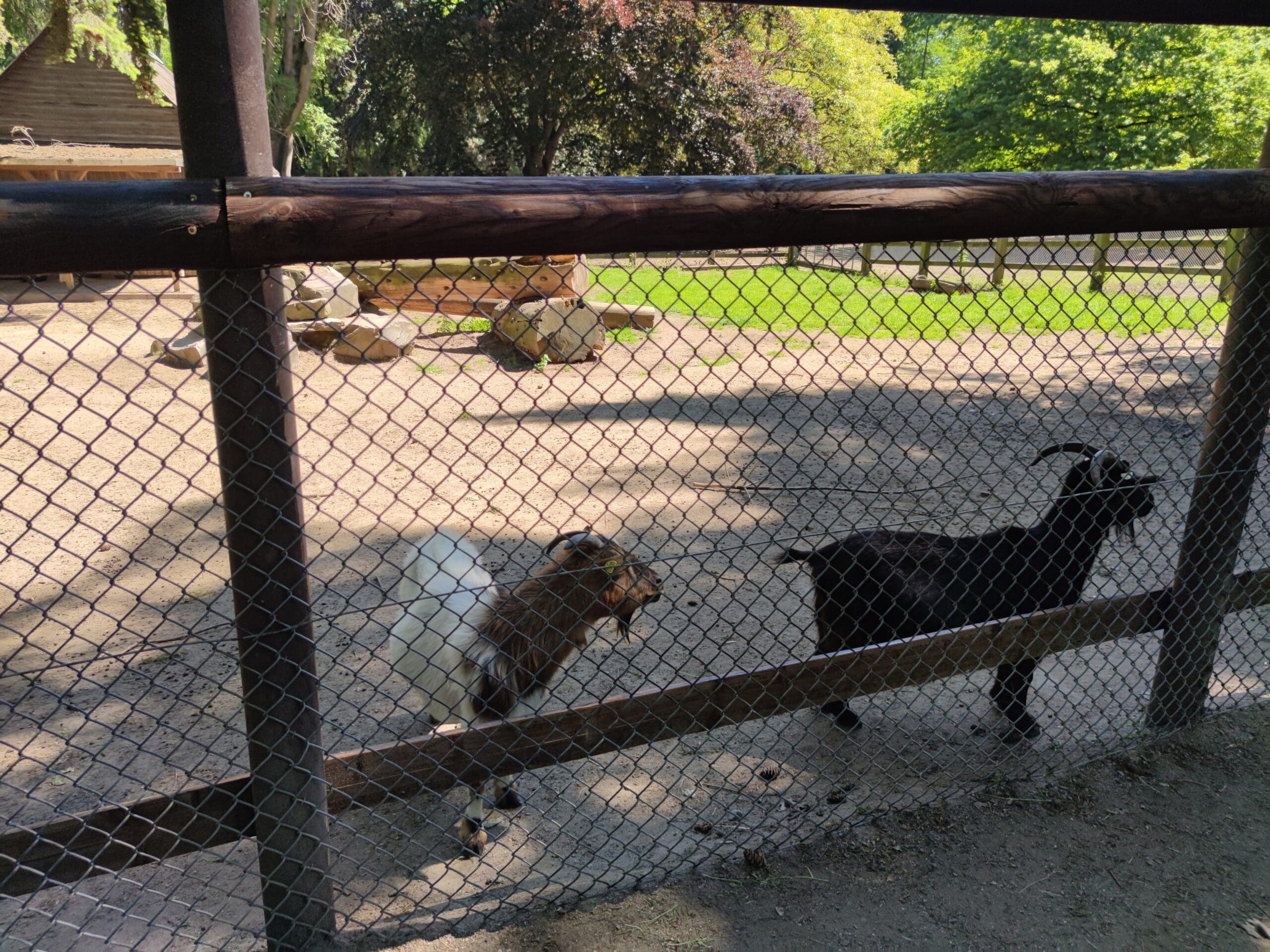 Wildpark Tannenbusch Dormagen